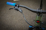 Santa Cruz Bronson CC X01