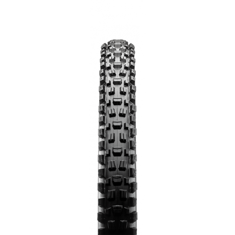 Maxxis Assegai Maxx Grip Tyre (3C-EXO+TR)